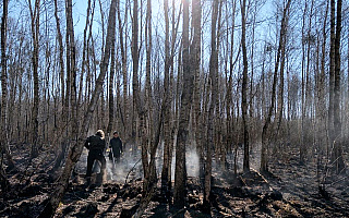 Strażacy z Warmii i Mazur pomogą gasić pożar w Biebrzańskim Parku Narodowym. „W lasach jest bardzo sucho”